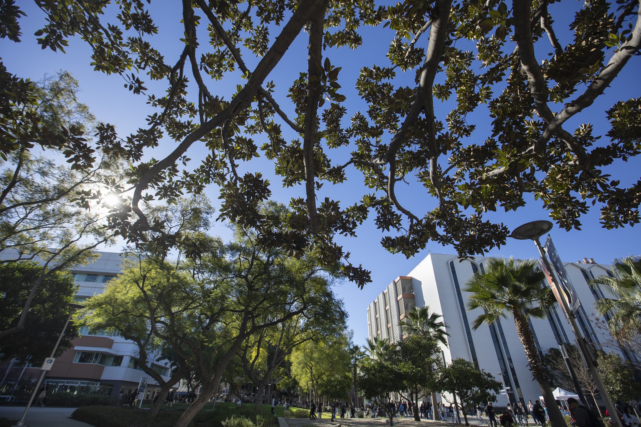 Education classroom viewed from between tree branches