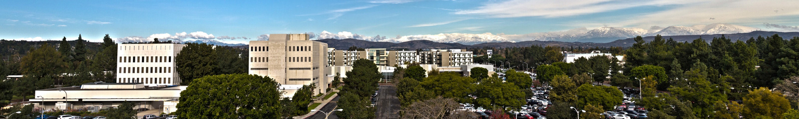 image of bridge campus